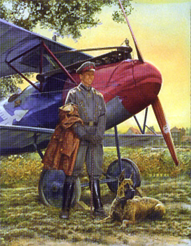 "Blue Max" - James Dietz - Albatross World War I Aviation Art